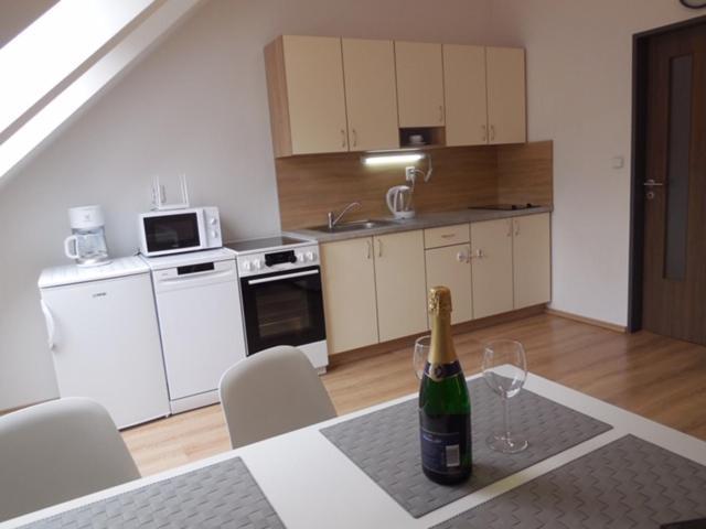Apartmán Kamenice Kamenice nad Lipou Exteriér fotografie