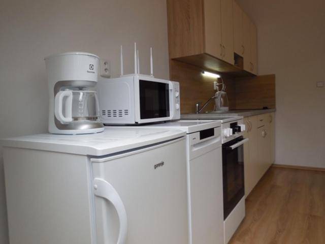 Apartmán Kamenice Kamenice nad Lipou Exteriér fotografie